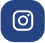 icon instagram bhakta